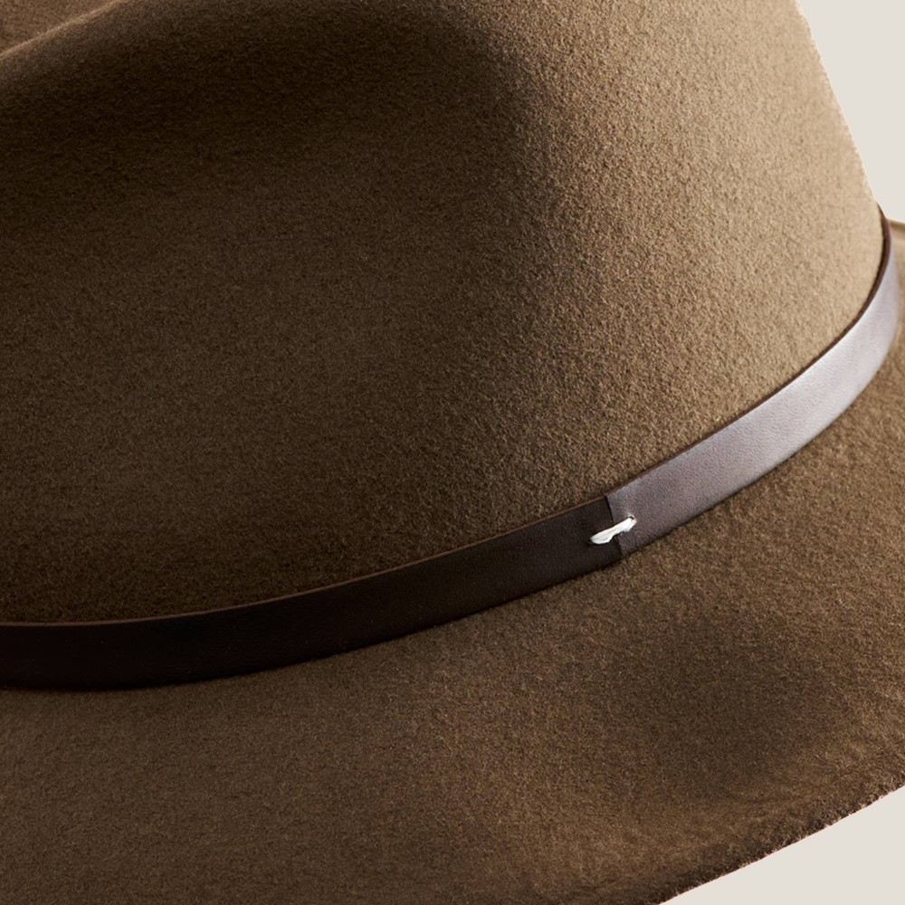 Dalí Safaria 40k2. 01P1